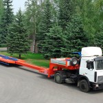 ���������� ����